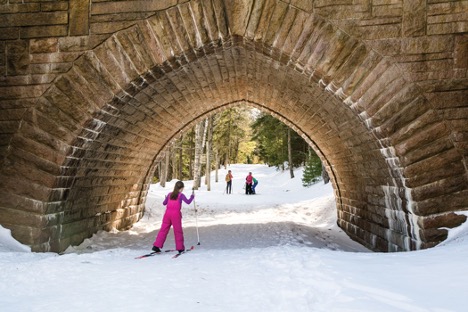 Photo of a family cross-country skiing on the carriage trails in Acadia National Park.