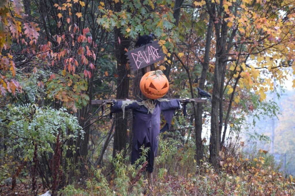 Fall scenery with spooky, but charming pumpkin head scarecrow beneath a hand drawn "beware" sign.