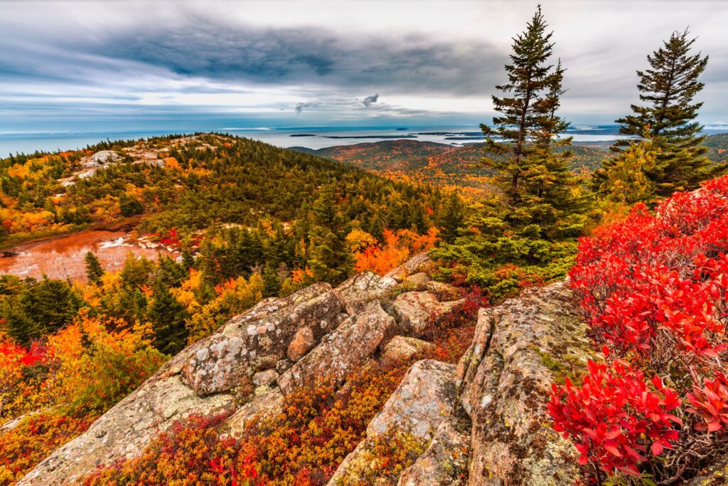 Fall foliage landscape at Acadia park